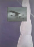 Plane