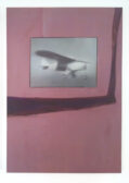 Plane