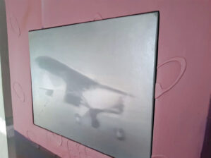 Plane - Afbeelding 3