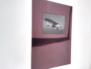 Plane - Afbeelding 2